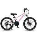 Glerc 20" Kids 21-Speed MTB with Disc Brakes - Skyline