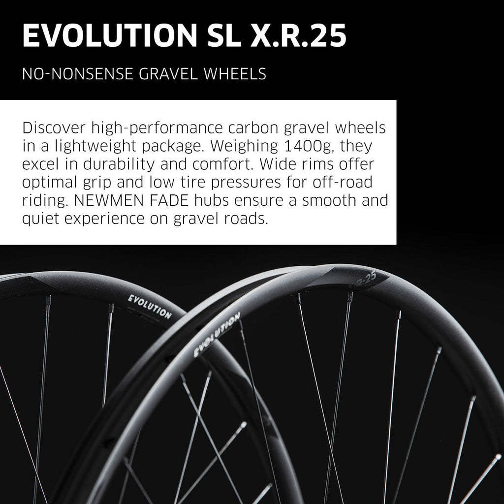 NEWMEN Wheelset - Evolution SL X.R.25 (Front Wheel - 29" 28h Fade R SP CL 12x100 / Rear Wheel 29" 28h Fade R SP CL 12x142 MS)